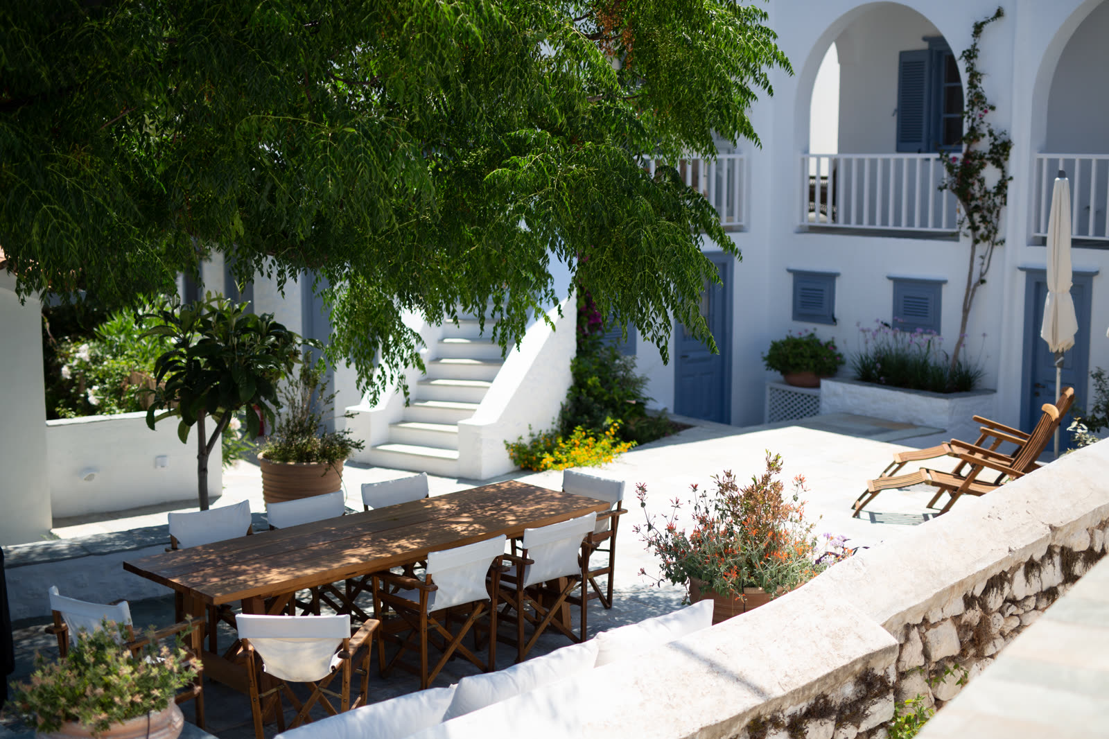 Bougainvillea terrace