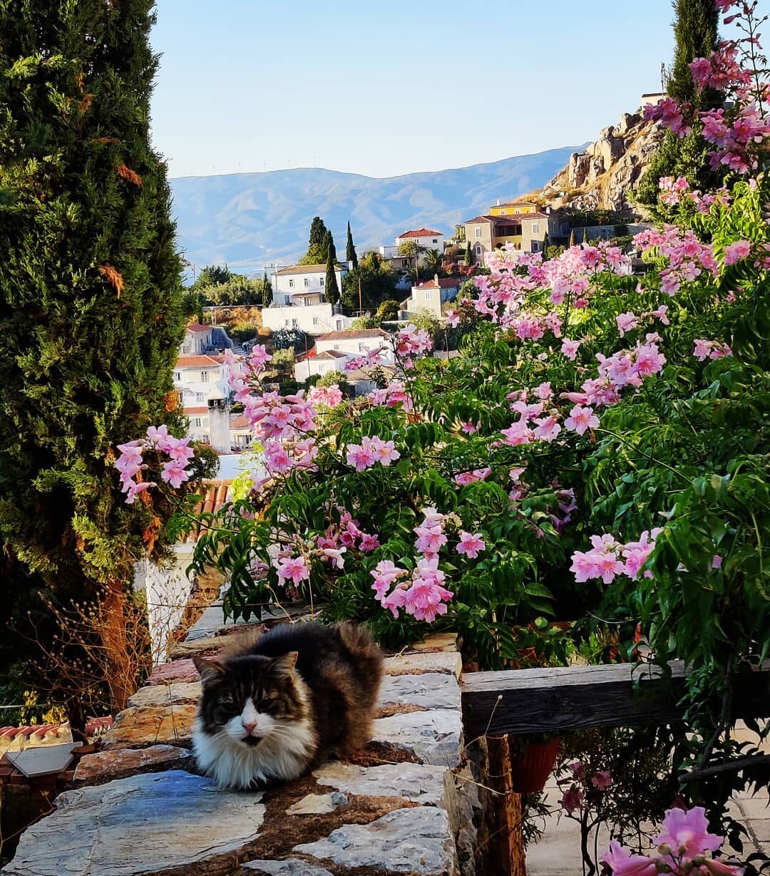 Hydra, Greece — Entaxy